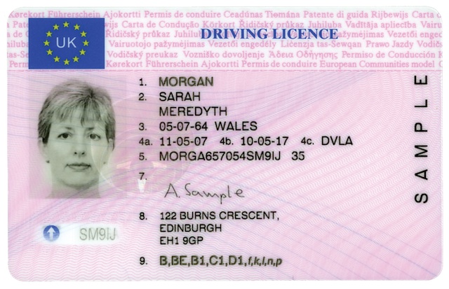 Example driving licence